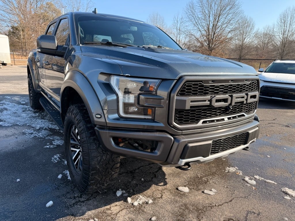 Raptor